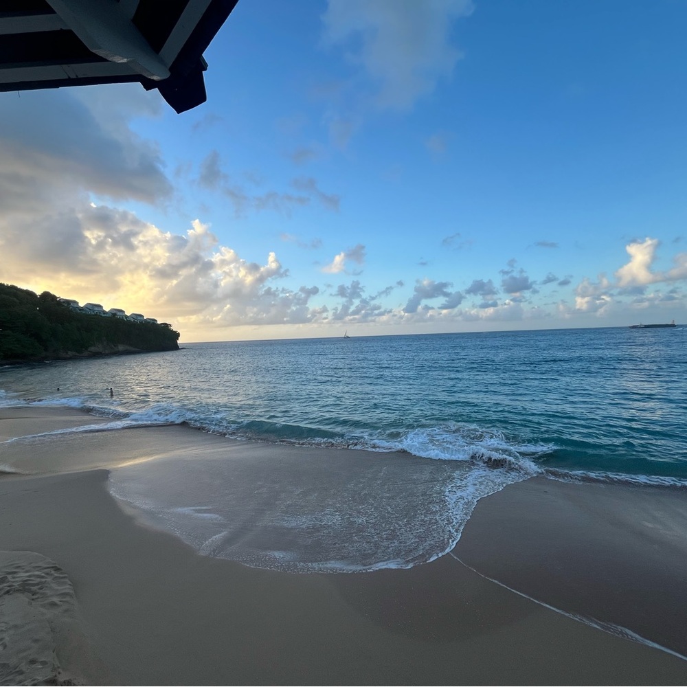 Meet your Posher, Carly